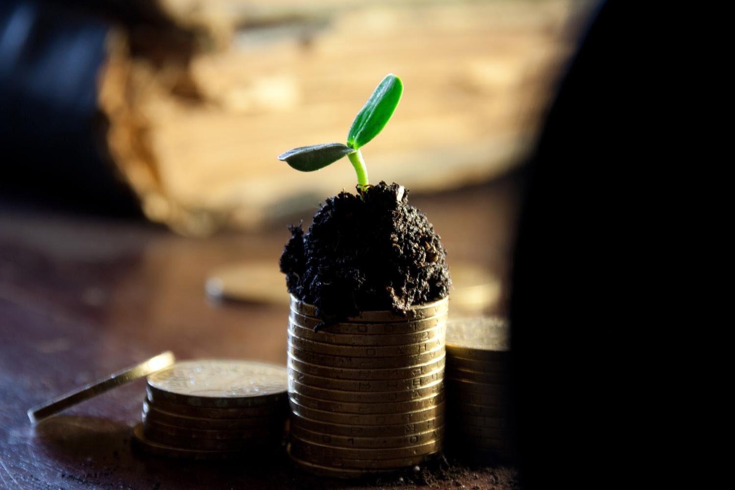 money-549161_by_markgraf-ave_cc0-gemeinfrei_pixabay_pfarrbriefservice